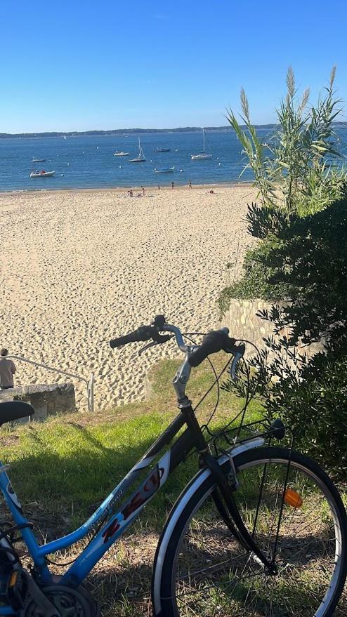 Hébergement de vacances Maison T3 Mitoyenne Avec Jacuzzi Et Jardin